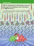 Cover page: METTL3-Mediated m6A Modification Controls Splicing Factor Abundance and Contributes to Aggressive CLL