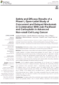 Cover page: Safety and Efficacy Results of a Phase I, Open-Label Study of Concurrent and Delayed Nivolumab in Combination With nab-Paclitaxel and Carboplatin in Advanced Non-small Cell Lung Cancer