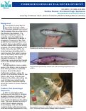 Cover page: Sardine Disease: Viral Hemorrhagic Septicemia