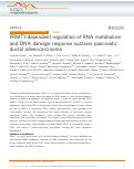 Cover page: PRMT1-dependent regulation of RNA metabolism and DNA damage response sustains pancreatic ductal adenocarcinoma