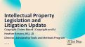 Cover page: Intellectual Property Legislation and Litigation Update: Copyright Claims Board / Copyright and AI