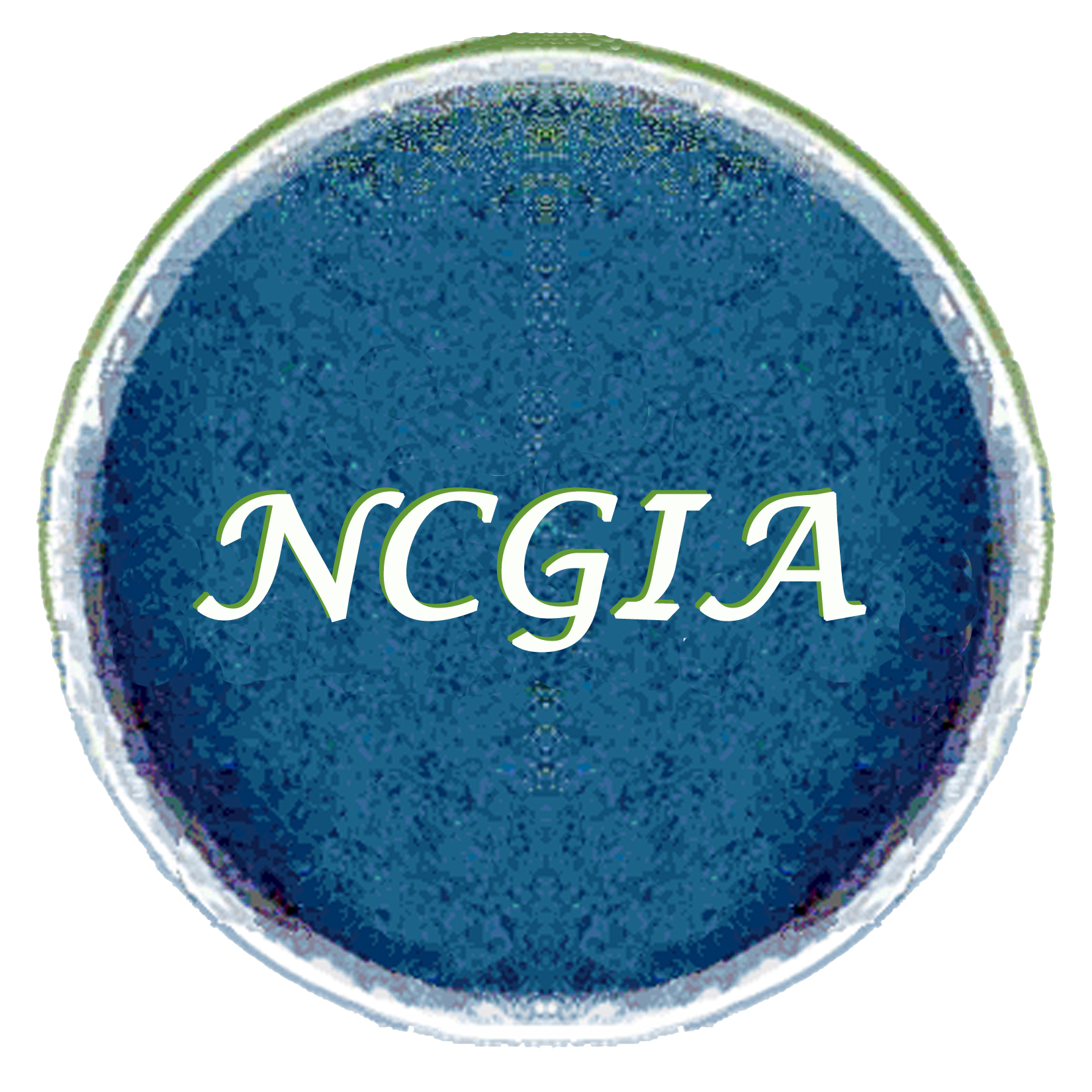 NCGIA Closing Reports on Research Initiatives and Projects banner
