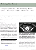 Cover page: Novel, congenital iliac arterial anatomy: Absent common iliac arteries and left internal iliac artery