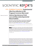 Cover page: Publisher Correction: Experimental Zika Virus Infection in the Pregnant Common Marmoset Induces Spontaneous Fetal Loss and Neurodevelopmental Abnormalities