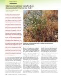 Cover page: Glyphosate-resistant hairy fleabane documented in the Central Valley