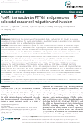 Cover page: FoxM1 transactivates PTTG1 and promotes colorectal cancer cell migration and invasion