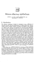 Cover page: Mouse olfactory epithelium