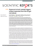 Cover page: Exposure to toxic metals triggers unique responses from the rat gut microbiota