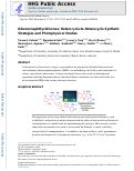 Cover page: Dibenzonaphthyridinones: Heterocycle-to-Heterocycle Synthetic Strategies and Photophysical Studies