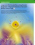 Cover page: Long-term Multimodal Recording Reveals Epigenetic Adaptation Routes in Dormant Breast Cancer Cells.