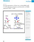 Cover page: Forced expression of the non-coding RNA miR-17∼92 restores activation and function in CD28-deficient CD4+ T&nbsp;cells