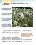 Cover page: Low hybrid onion seed yields relate to honey bee visits and insecticide use