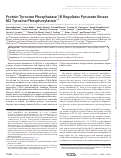 Cover page: Protein Tyrosine Phosphatase 1B Regulates Pyruvate Kinase M2 Tyrosine Phosphorylation*