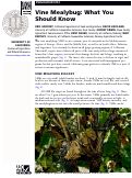 Cover page: Vine Mealybug: What You Should Know