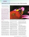 Cover page: Native bees are a rich natural resource in urban California gardens