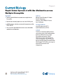 Cover page: Rapid Global Spread of wRi-like Wolbachia across Multiple Drosophila
