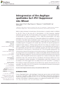 Cover page: Introgression of the Aegilops speltoides Su1-Ph1 Suppressor into Wheat.
