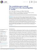 Cover page: The rosetteless gene controls development in the choanoflagellate S. rosetta
