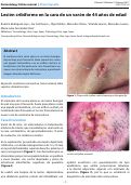 Cover page: Lesión cribiforme en la cara de un varón de 44 años de edad