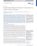 Cover page: Engineering Robust Production Microbes for Large-Scale Cultivation