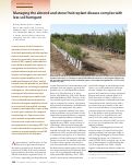 Cover page: Managing the almond and stone fruit replant disease complex with less soil fumigant