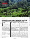 Cover page: Restoring tropical forests from the bottom up