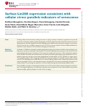 Cover page: Surface Lin28A expression consistent with cellular stress parallels indicators of senescence