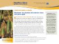 Cover page: Consejos sobre la sequía: Mantener las plantas del exterior vivas con poco agua