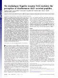 Cover page: The Arabidopsis flagellin receptor FLS2 mediates the perception of Xanthomonas Ax21 secreted peptides.