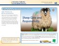 Cover page: Sheep - From the Animal's Point of View, 5: Sheep Care and Responsibility