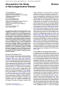 Cover page: Drosophila in the Study of Neurodegenerative Disease