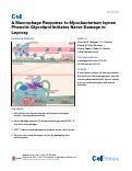 Cover page: A Macrophage Response to Mycobacterium leprae Phenolic Glycolipid Initiates Nerve Damage in Leprosy