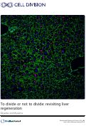 Cover page: To divide or not to divide: revisiting liver regeneration