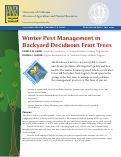 Cover page: Winter Pest Management in Backyard Deciduous Fruit Trees