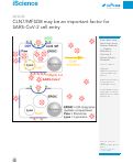 Cover page: CLN7/MFSD8 may be an important factor for SARS-CoV-2 cell entry