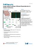 Cover page: Large-Scale Profiling of Kinase Dependencies in Cancer Cell Lines