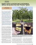 Cover page: English walnut rootstocks help avoid blackline disease, but produce less than ‘Paradox’ hybrid