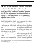 Cover page: Zika virus genome biology and molecular pathogenesis