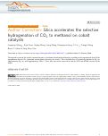 Cover page: Author Correction: Silica accelerates the selective hydrogenation of CO2 to methanol on cobalt catalysts
