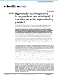 Cover page: Hypertrophic cardiomyopathy in purpose-bred cats with the A31P mutation in cardiac myosin binding protein-C