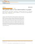 Cover page: The genetic basis of sex determination in grapes.