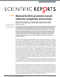 Cover page: Natural lecithin promotes neural network complexity and activity