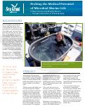 Cover page: Probing the Medical Potential of Microbial Marine Life