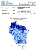 Cover page: Wisconsin Census Snapshot: 2010