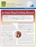Cover page: Youth Development through Veterinary Science, 8: Is Your Dog Feeling Down?