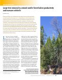 Cover page: Large-tree removal in a mixed-conifer forest halves productivity and increases white fir