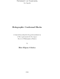 Cover page: Holographic Conformal Blocks