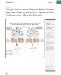 Cover page: Charge Characteristics of Agouti-Related Protein Implicate Potent Involvement of Heparan Sulfate Proteoglycans in Metabolic Function
