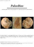 Cover page: A lower jaw of the nautiloid <em>Aturia angustata</em> (Conrad, 1849) from Oligocene cold seep limestone, Washington State, U.S.A.