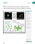 Cover page: Nuclear Actin Polymerized by mDia2 Confines Centromere Movement during CENP-A Loading.